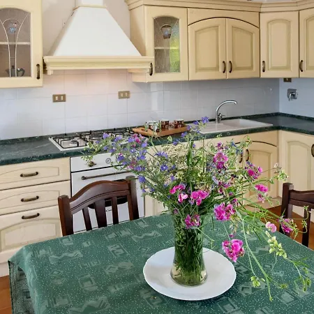 Apartman Attractive In With Garden