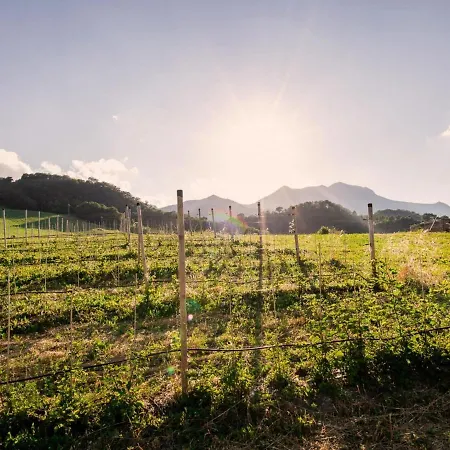 Apartman Attractive In With Garden Sassoferrato